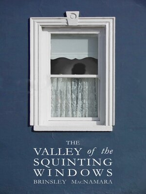 cover image of The Valley of the Squinting Windows